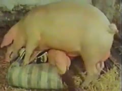 Infidelity Never seen before, MILF gets fucked by a hog in this amazing animal fucking video.